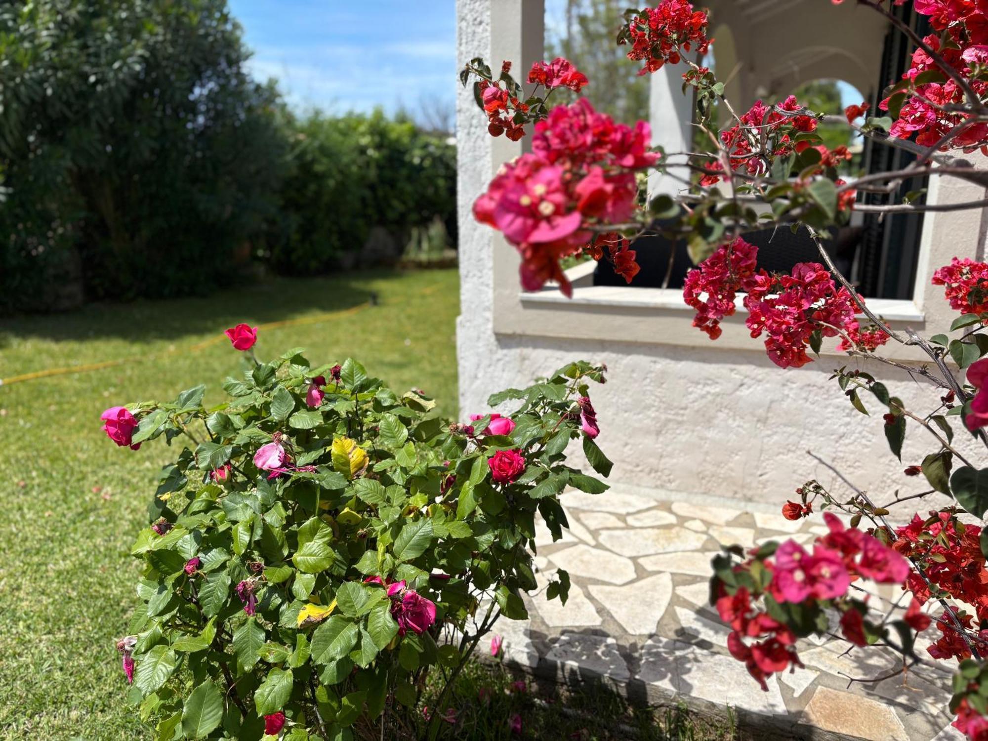 Ferienwohnung Sirios Acharavi  Exterior foto